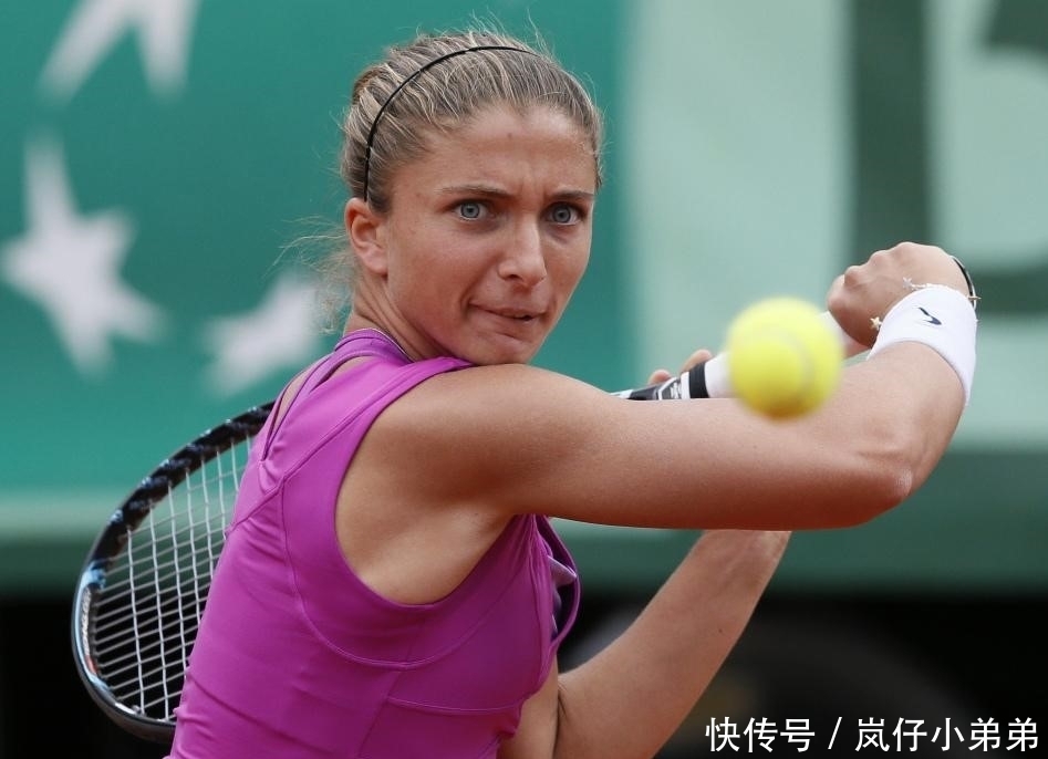 车系列引入 车系列引入