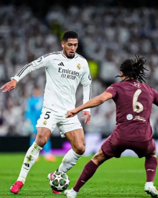 重要因素 重要因素